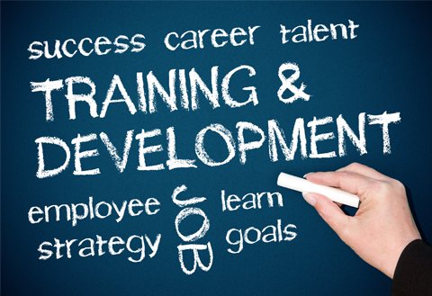 Training-and-Development