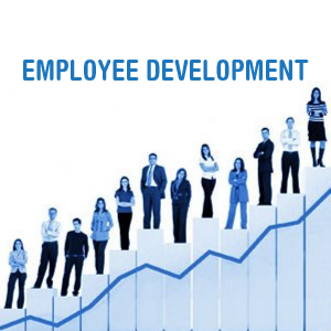 Employee Development is the Key to Build Strong Human Power